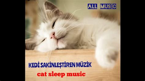 Kedi için sakinleştirici müzik